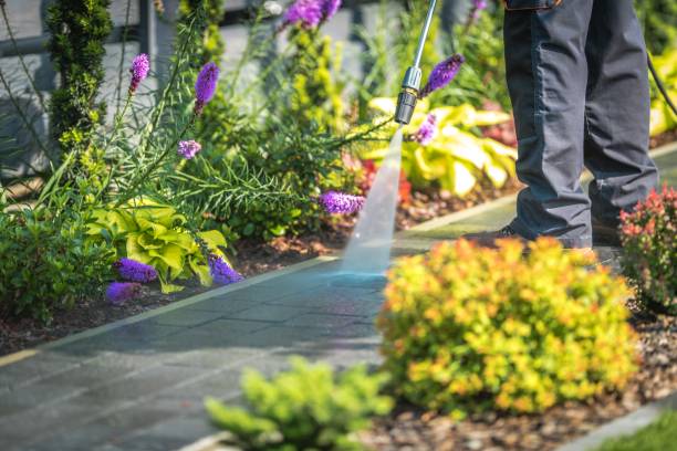 Best Animal Enclosure Cleaning  in Beckley, WV